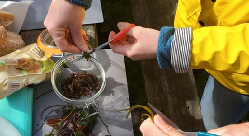 Sortie en bord de mer et atelier cuisine près de Crozon
