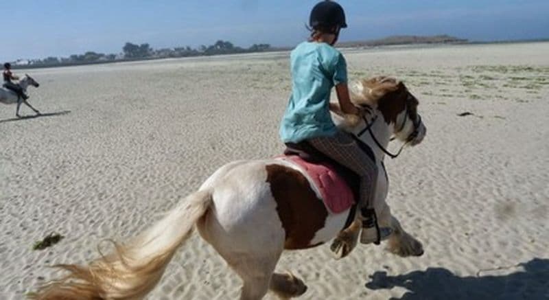 Balade à cheval accompagnées à Plouguerneau - Circuit plage ou campagne