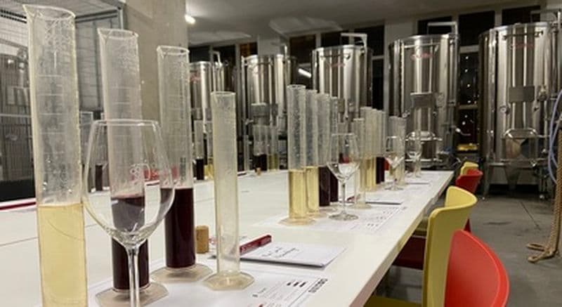 Atelier d'assemblage de votre propre vin dans un chai urbain à Lyon 6ème