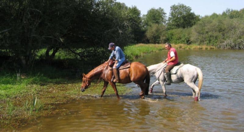 Balade à Cheval près de Poitiers