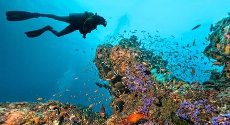 Baptême de plongée à Cerbère près de Perpignan