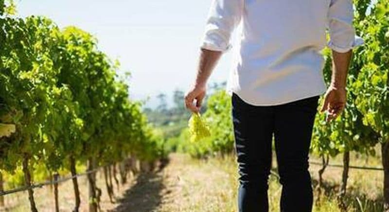 Atelier d'œnologie près d'Avignon