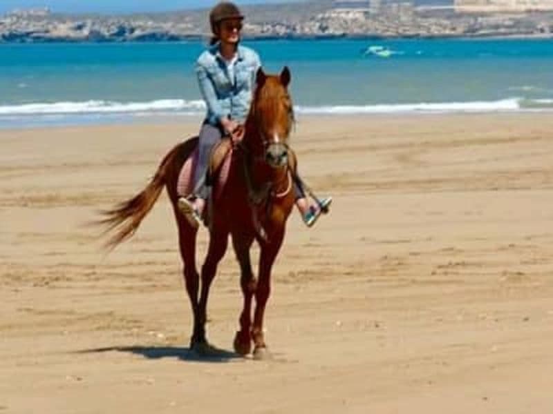 Randonnée guidée à cheval dans les dunes et sur les plages d'Essaouria, Maroc