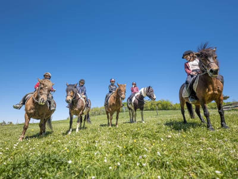 Balade à cheval à Labretonie près de Bordeaux