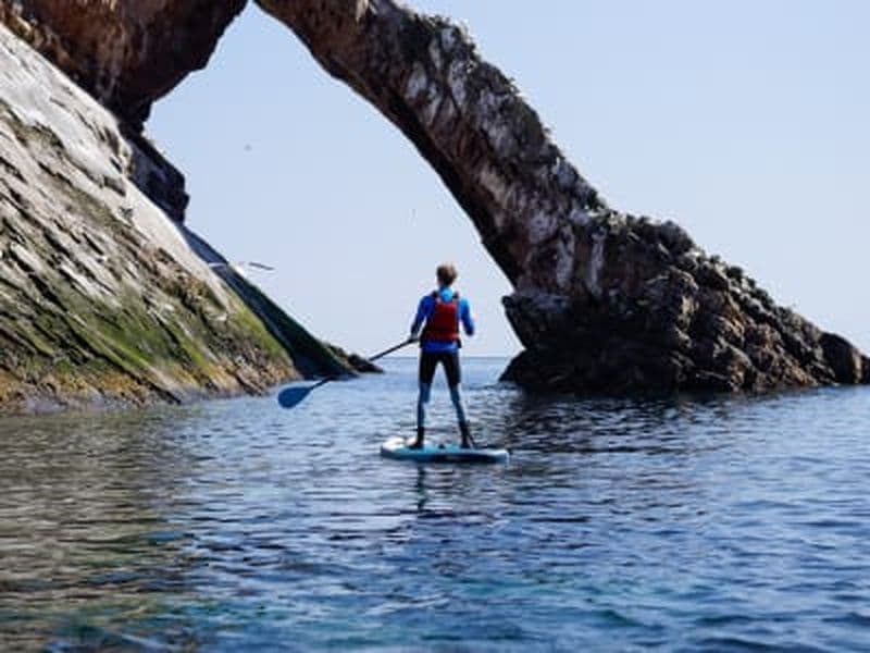 Excursion en stand up paddle sur le Moray Firth depuis Cullen