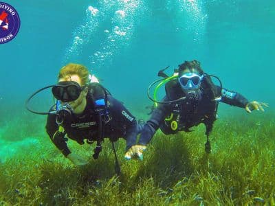 Découverte de la plongée sous-marine à Glyfa Beach, Alonissos