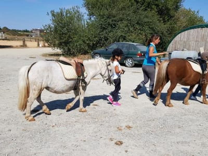 Billet Balade à poney pour enfants près de La Rochelle