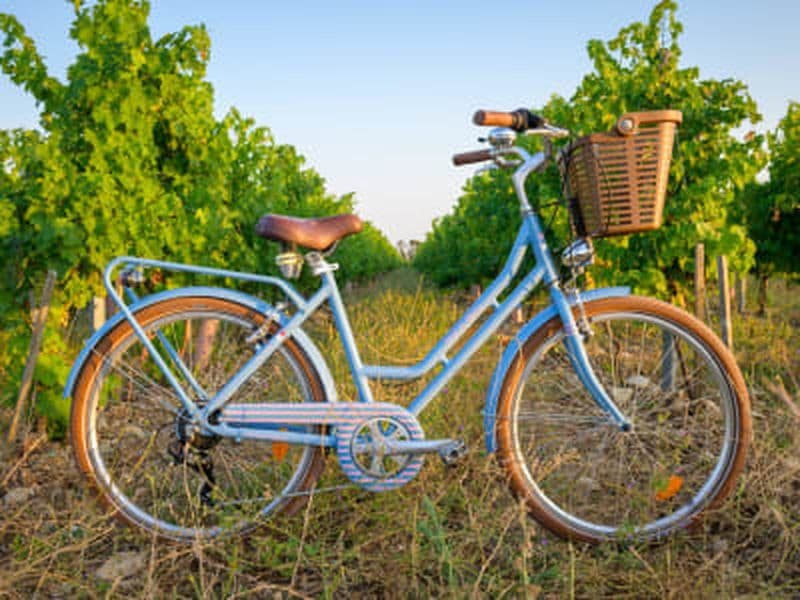 Location de vélo de balade à Quiberon