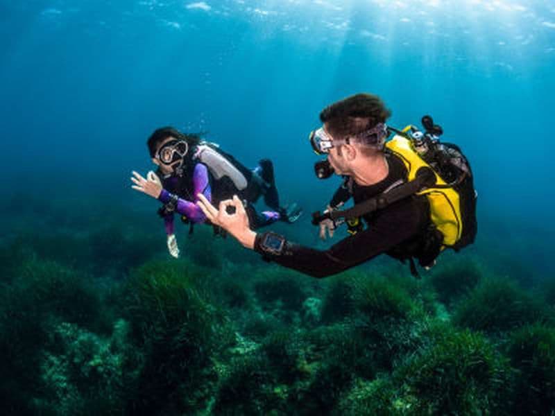 Baptême de plongée dans le Parc national de Port-Cros près de Hyères depuis La Londe-les-Maures