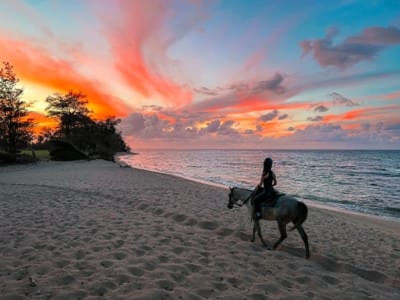 Équitation en bord de mer sur la côte nord d'O'ahu