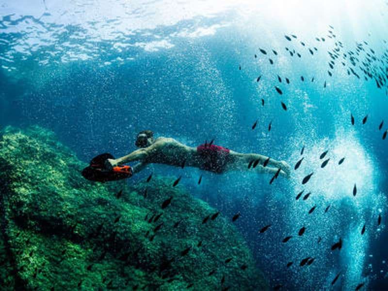 Snorkeling en scooter sous-marin dans les calanques des îles du Frioul depuis le Vieux-Port de Marseille