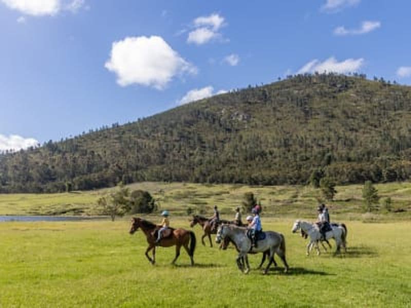 Balade à cheval à Kurland près de Plettenberg Bay, Tsitsikamma