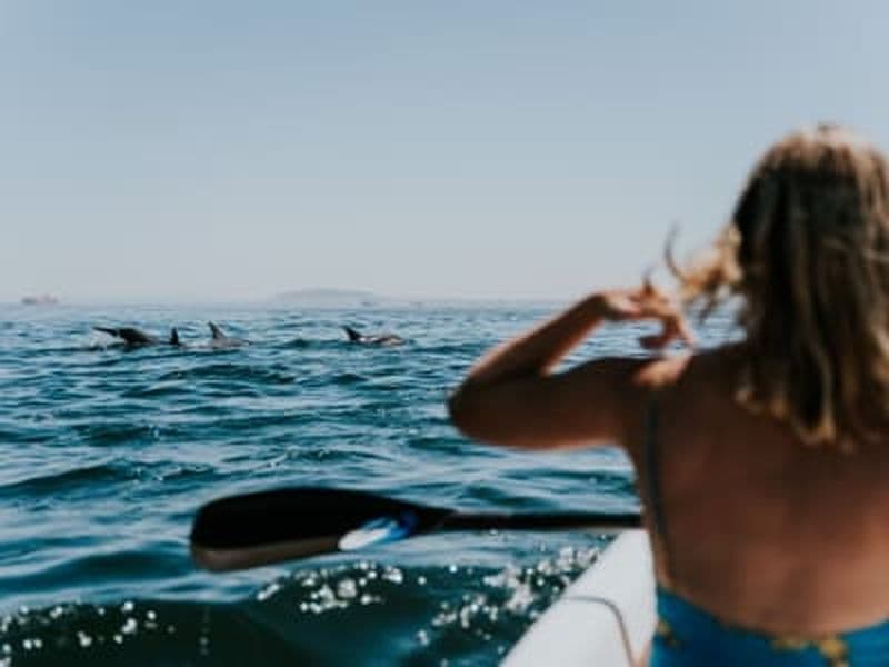 Excursion guidée en kayak de mer avec les dauphins au Cap