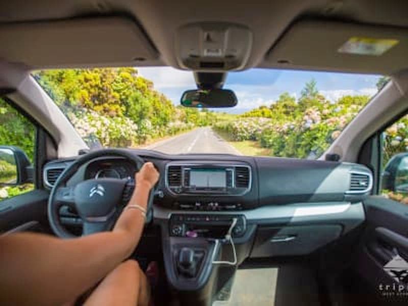 Excursion d'une journée en van autour du mont Pico à Ilha do Pico, Açores