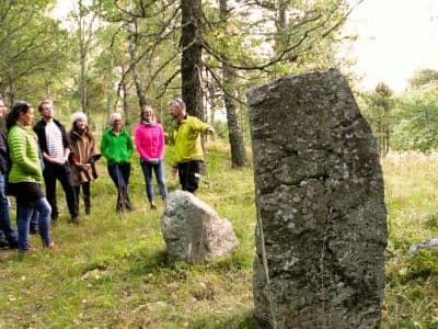 Safari nocturne au départ de Stockholm