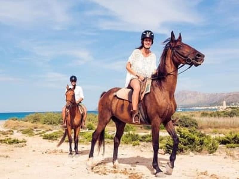 Billet Randonnée à cheval le matin à Paros