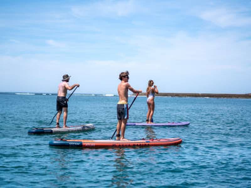 Excursion guidée en stand up paddle dans la baie de la Table au Cap