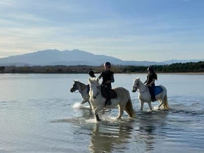Balade à cheval près de de Saint-Cyprien