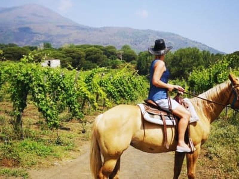 Balade à cheval dans les vignobles du Vésuve depuis Pompéi