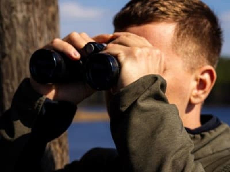 Billet Observation des oiseaux et de la faune Arctique depuis Rovaniemi