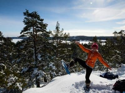 Excursion en raquettes au départ de Stockholm