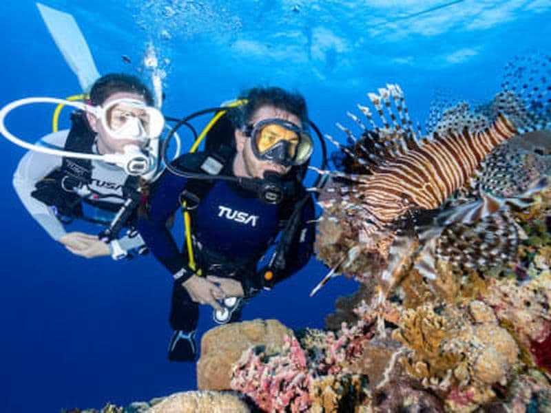 Découvrez la plongée sous-marine sur l'île de Marathonissi et les spéléologies de Keri à Zante.