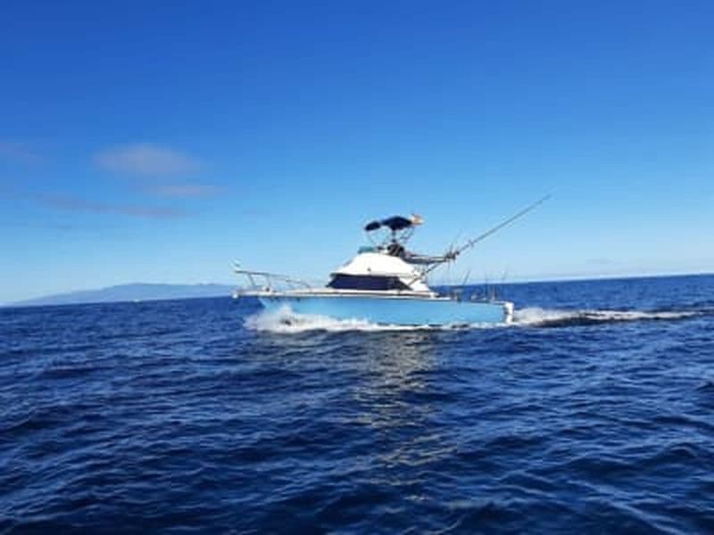 Excursion de pêche privée en charter à Costa Adeje, Tenerife
