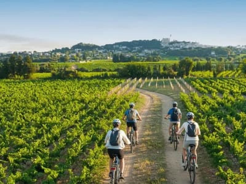Balade à vélo électrique à Châteauneuf-du-Pape avec visite de producteurs locaux et dégustation