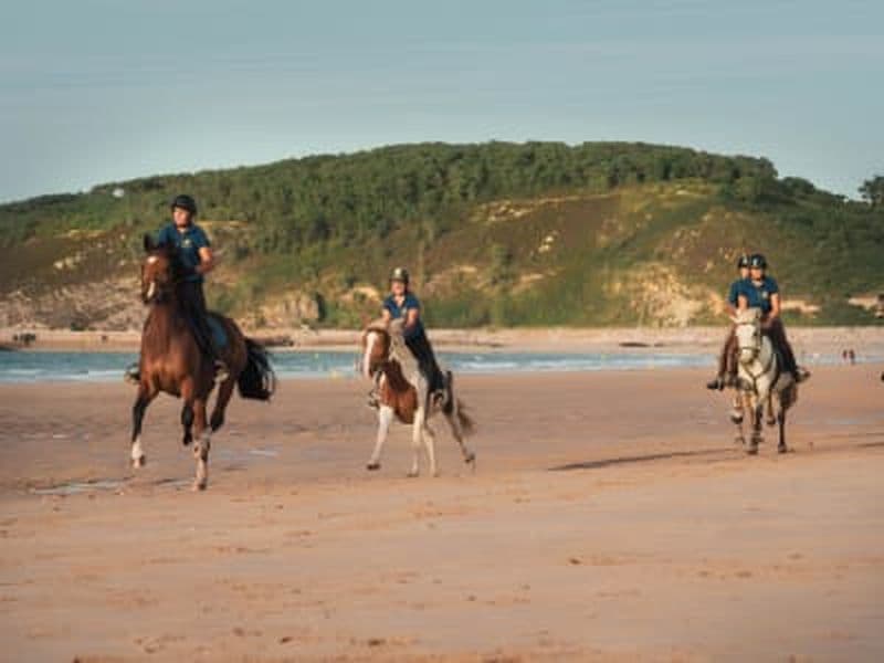 Billet Balade à cheval sur la plage entre le Cap d'Erquy et le Cap Fréhel, Bretagne