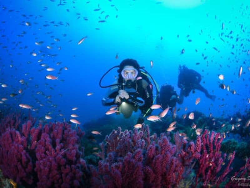 Découverte de la plongée dans le Parc national de Port-Cros près de Hyères depuis La Londe-les-Maures