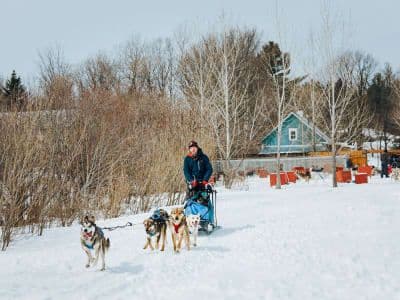Billet Excursion en chiens de traîneau en Lanaudière au départ de Montréal