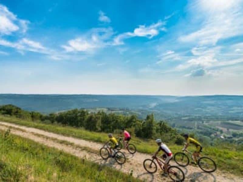 Excursion à vélo le long du sentier de la Parenzana au départ de Koper