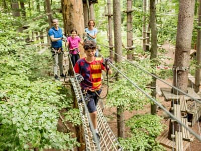Parc accrobranche à Interlaken