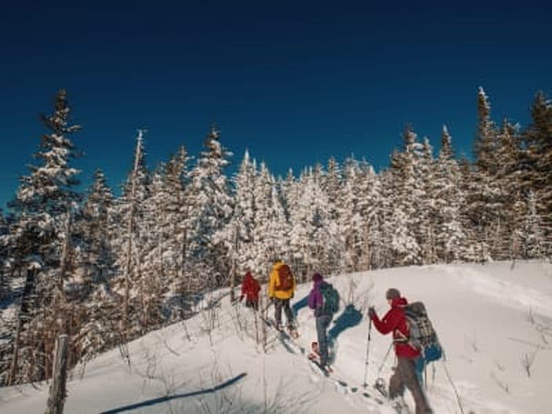 Randonnée en raquettes au Parc national du Mont-Tremblant depuis Montréal