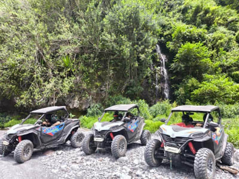 Randonnée en buggy dans la forêt de Mont Vert, La Réunion