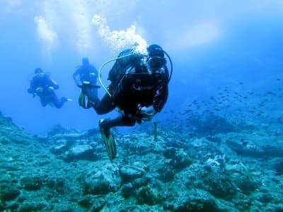 Découvrez la plongée sous-marine à Alonissos
