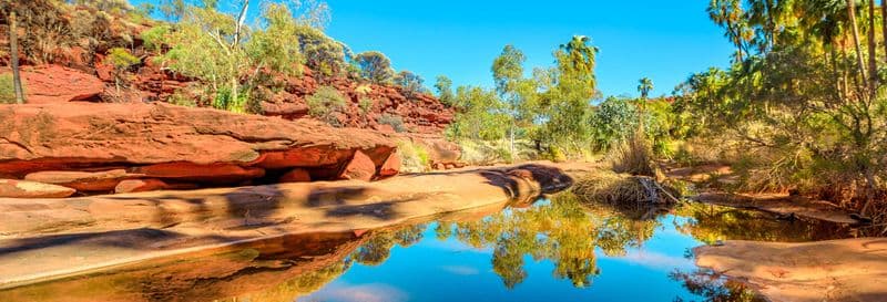 Excursion en 4x4 dans Palm Valley