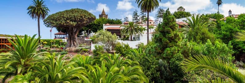 Free tour dans Icod de los Vinos