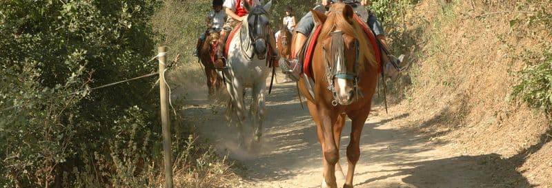 Billet Balade à cheval dans les environs de Llavorsí