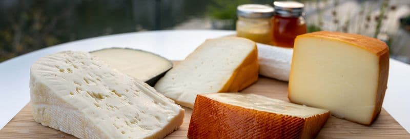 Visite avec dégustation des vins et fromages de Querétaro