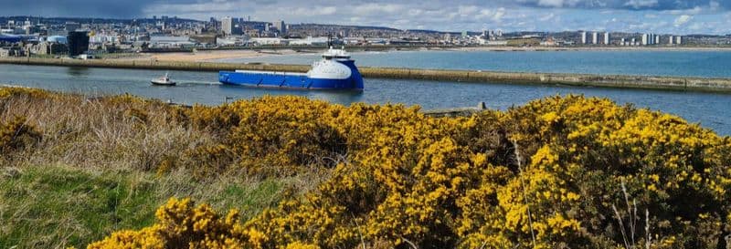 Excursion au château de Dunnottar + Route côtière de l'Aberdeenshire