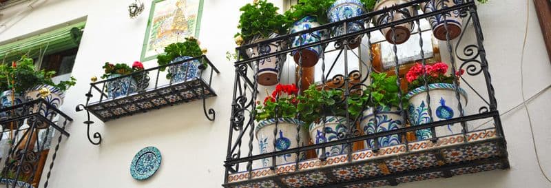 Free tour dans l'Albaicín et le Sacromonte