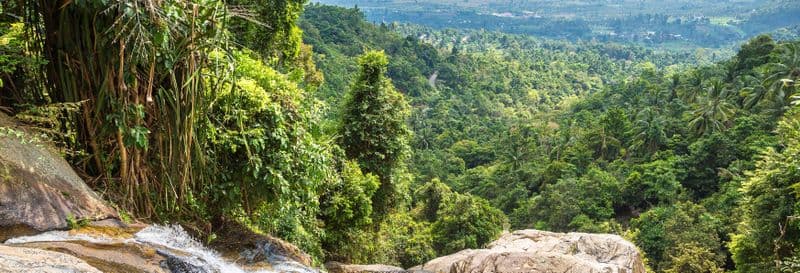 Sortie aventure en 4x4 à Koh Samui