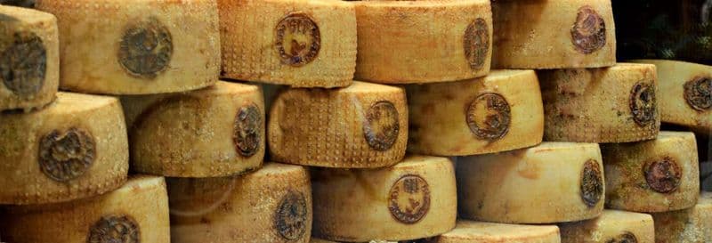 Visite autour du vin et du fromage pecorino