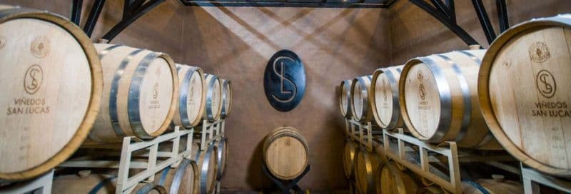 Visite d'un vignoble à San Miguel de Allende + dégustation de mezcal