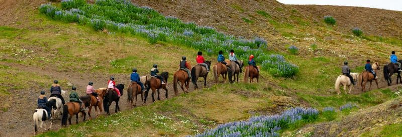 Cercle d'Or + balade à cheval