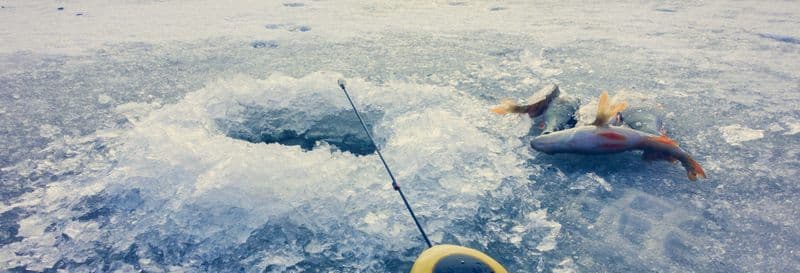 Balade en raquettes à neige + Pêche sur glace