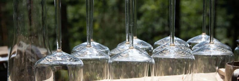 Dégustation de vins dans la forêt d'Espoo