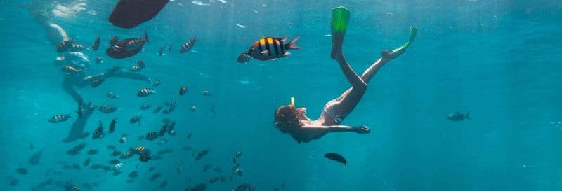 Billet Snorkeling à La Havane