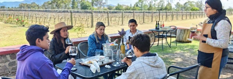 Visite sur le thème de la bière et du vin à Tequisquiapan